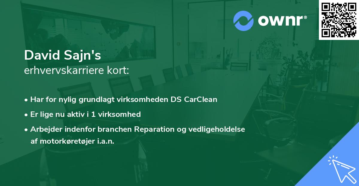 David Sajn's erhvervskarriere kort