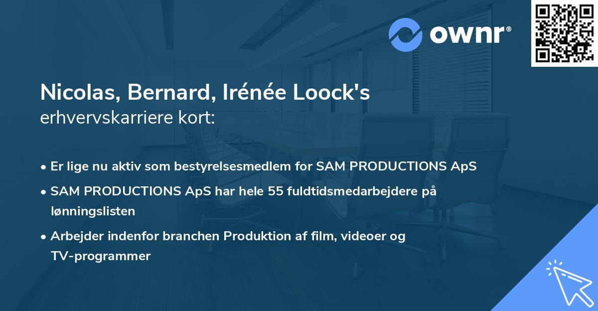 Nicolas, Bernard, Irénée Loock's erhvervskarriere kort