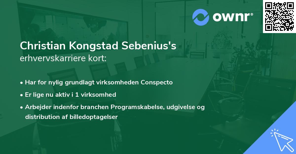 Christian Kongstad Sebenius's erhvervskarriere kort