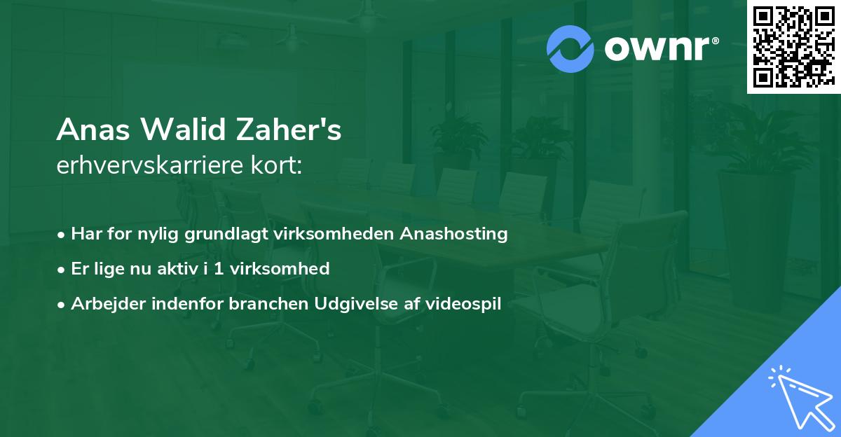 Anas Walid Zaher's erhvervskarriere kort