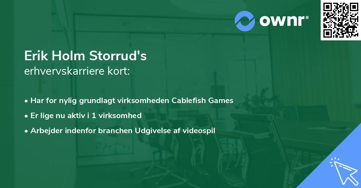 Erik Holm Storrud's erhvervskarriere kort