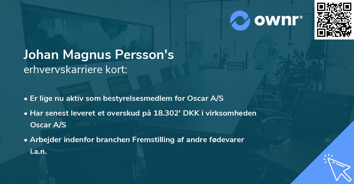 Johan Magnus Persson's erhvervskarriere kort