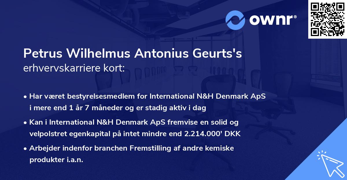 Petrus Wilhelmus Antonius Geurts's erhvervskarriere kort