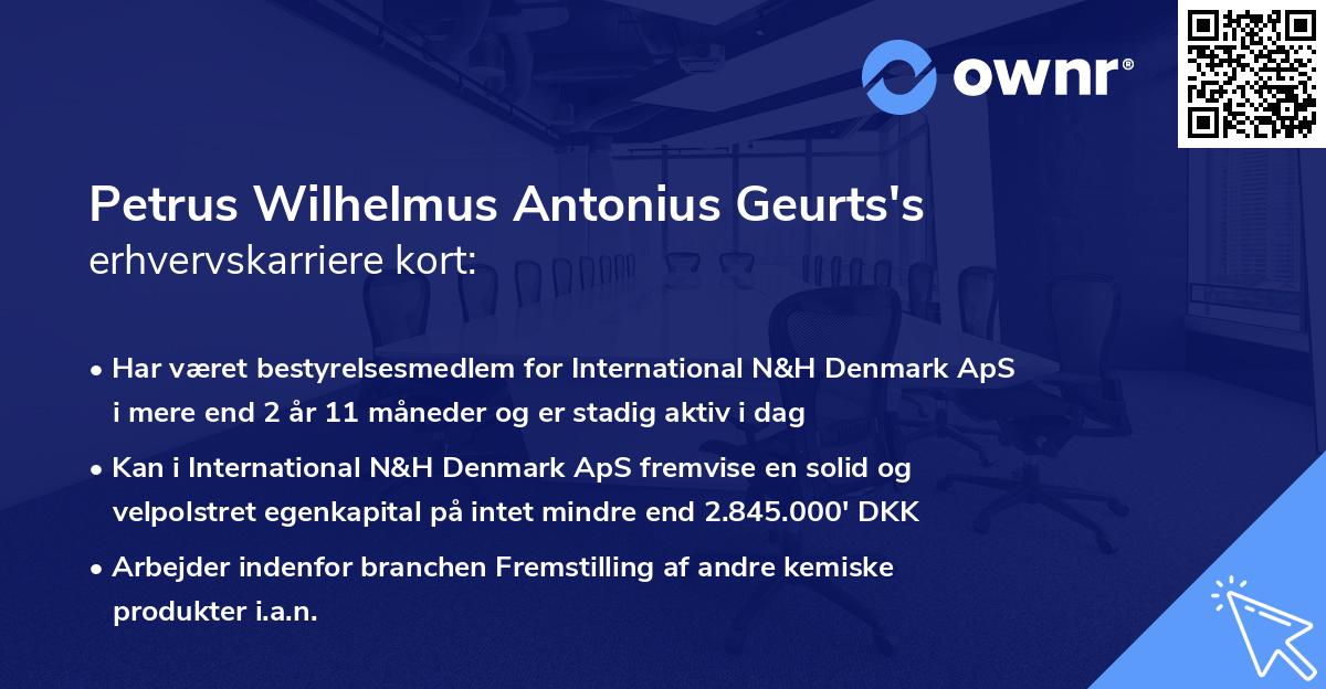 Petrus Wilhelmus Antonius Geurts's erhvervskarriere kort