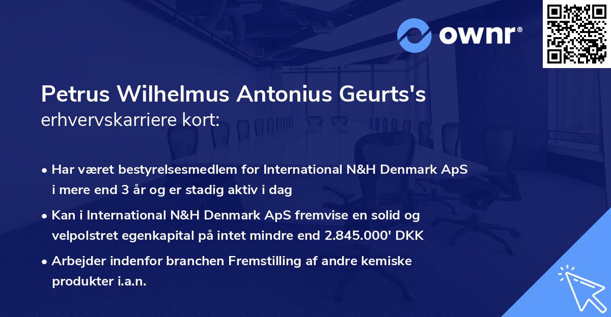 Petrus Wilhelmus Antonius Geurts's erhvervskarriere kort