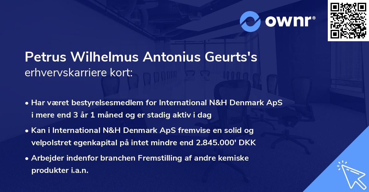 Petrus Wilhelmus Antonius Geurts's erhvervskarriere kort