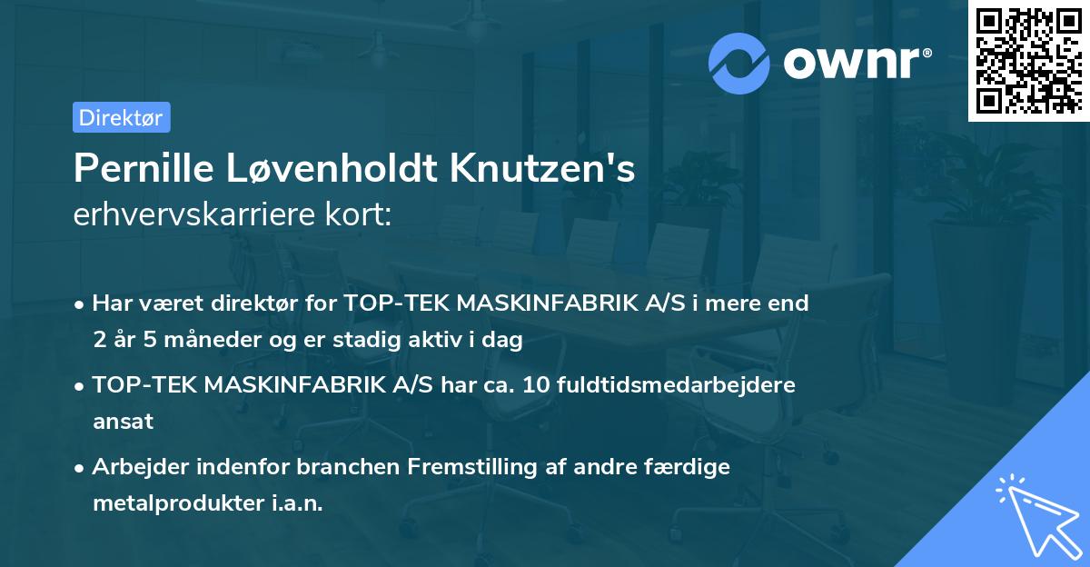 Pernille Løvenholdt Knutzen's erhvervskarriere kort