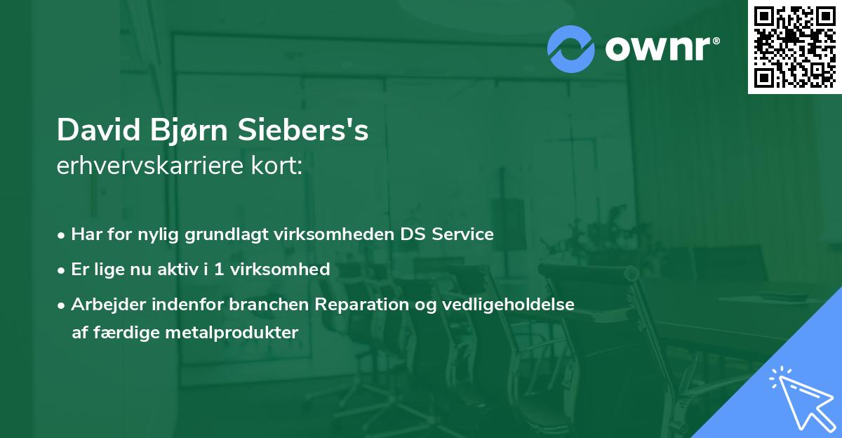 David Bjørn Siebers's erhvervskarriere kort