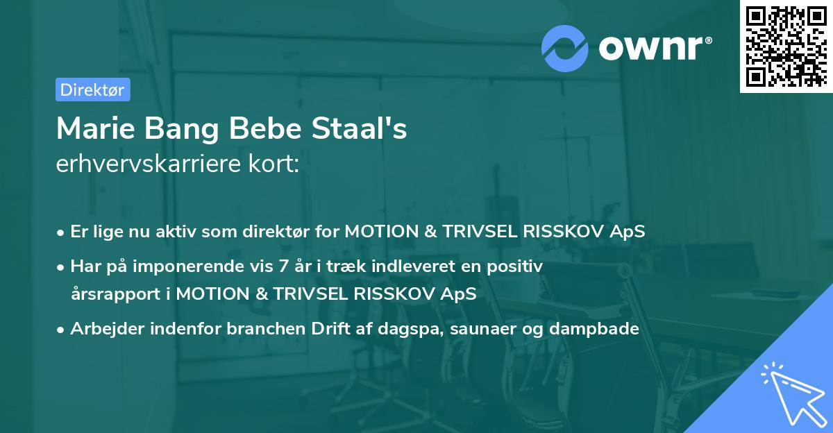 Marie Bang Bebe Staal's erhvervskarriere kort