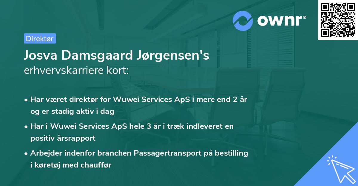 Josva Damsgaard Jørgensen's erhvervskarriere kort