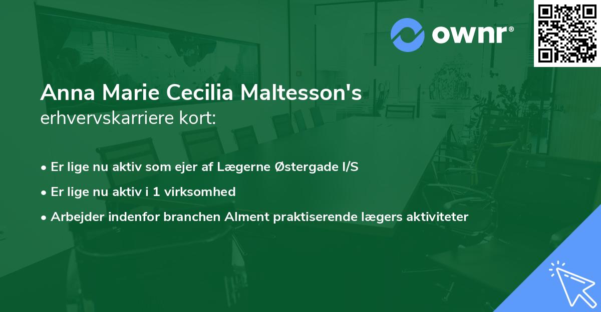 Anna Marie Cecilia Maltesson's erhvervskarriere kort