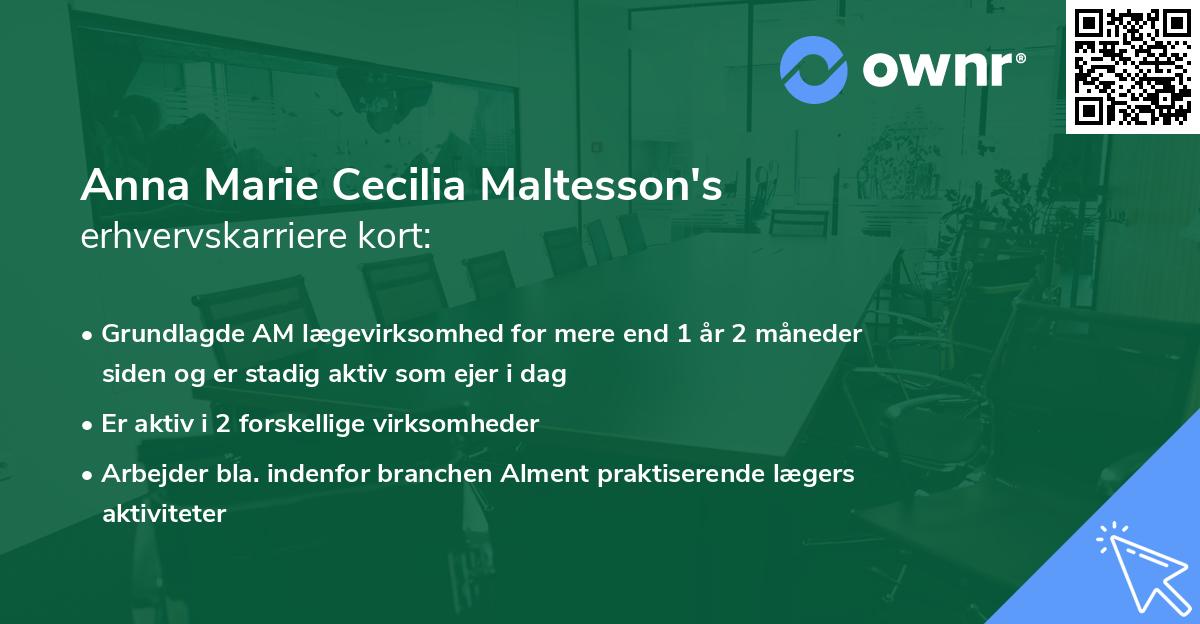 Anna Marie Cecilia Maltesson's erhvervskarriere kort
