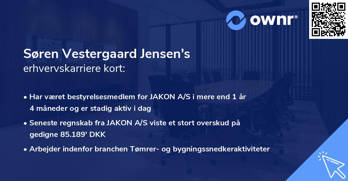 Søren Vestergaard Jensen's erhvervskarriere kort