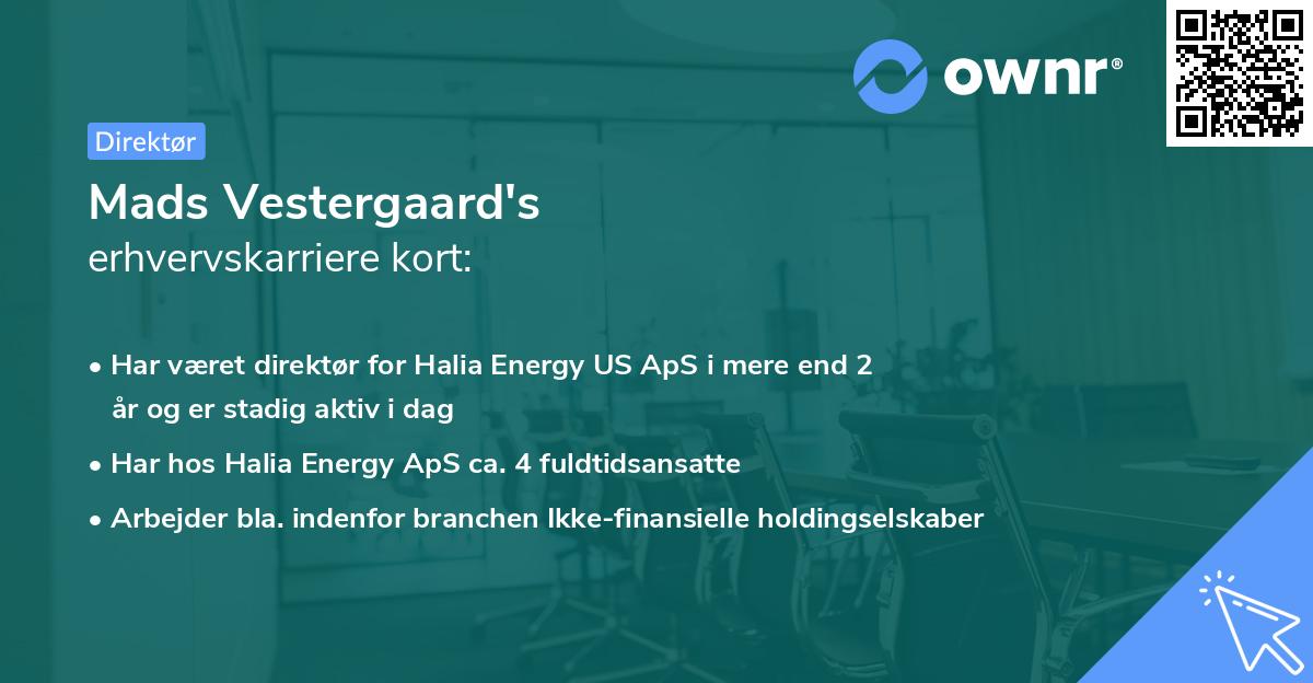 Mads Vestergaard's erhvervskarriere kort