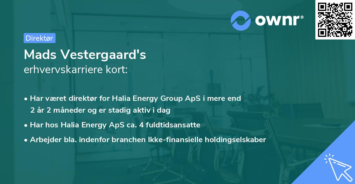 Mads Vestergaard's erhvervskarriere kort