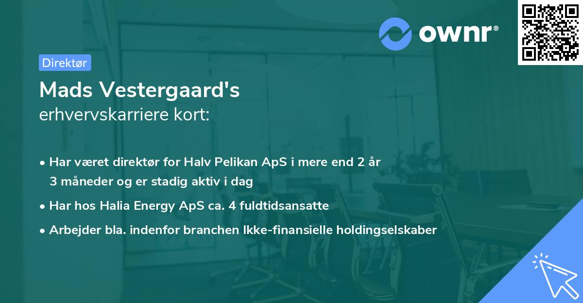 Mads Vestergaard's erhvervskarriere kort