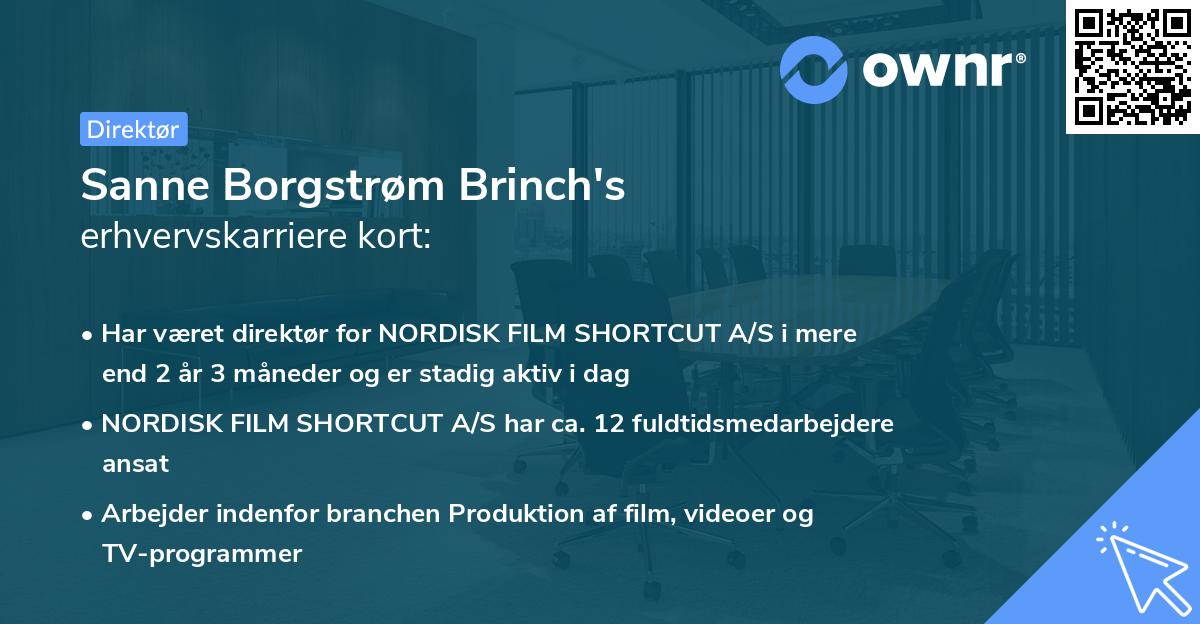 Sanne Borgstrøm Brinch's erhvervskarriere kort