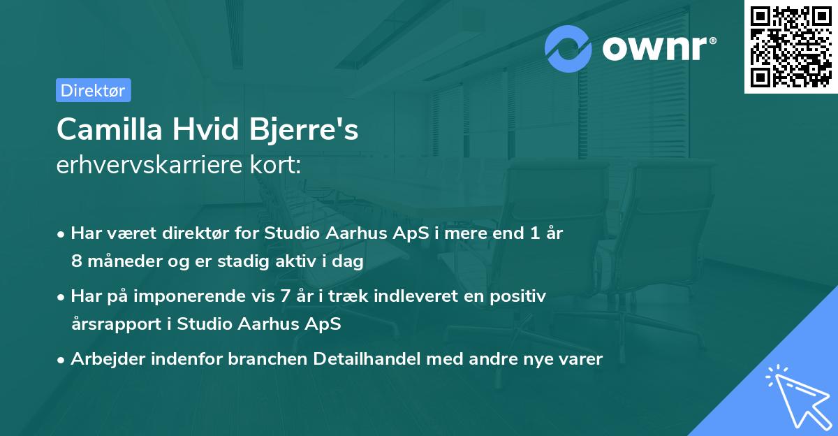 Camilla Hvid Bjerre's erhvervskarriere kort