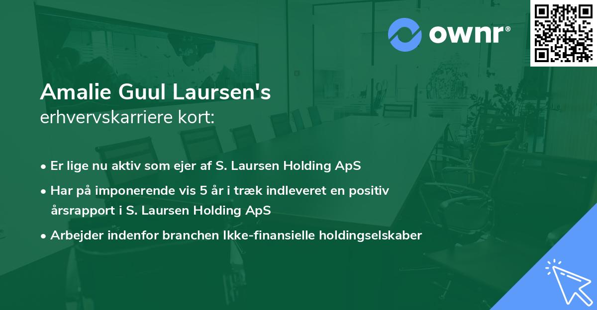 Amalie Guul Laursen's erhvervskarriere kort