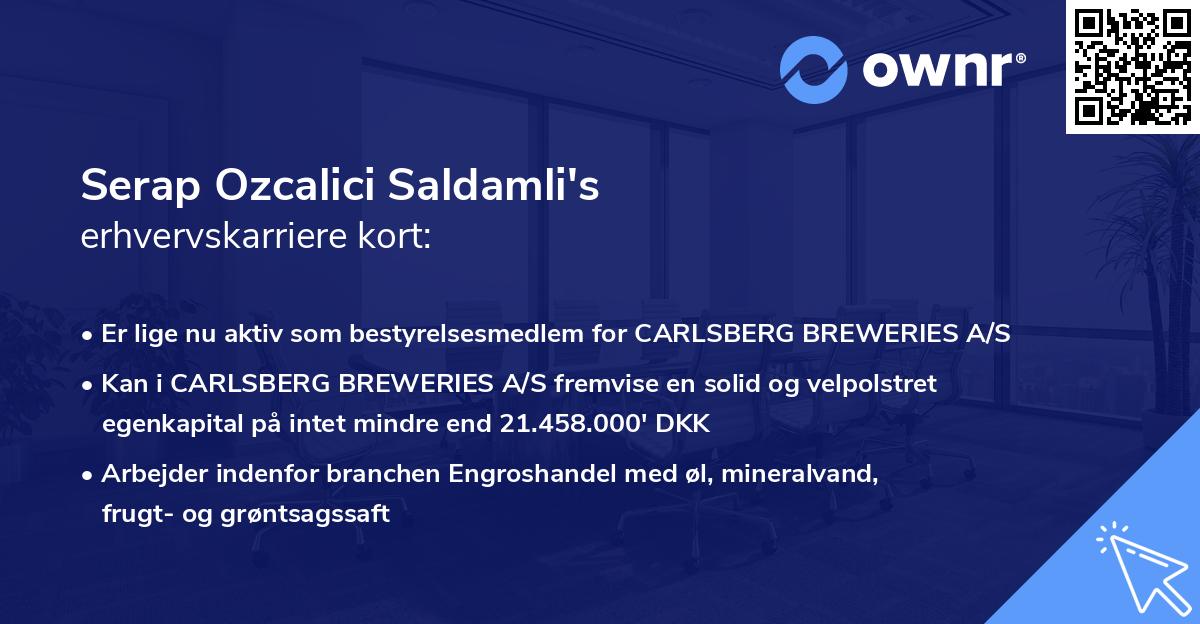 Serap Ozcalici Saldamli's erhvervskarriere kort