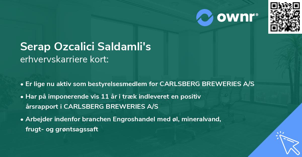 Serap Ozcalici Saldamli's erhvervskarriere kort