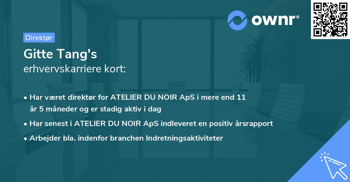 Gitte Tang's erhvervskarriere kort