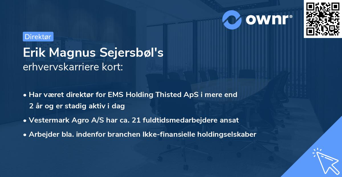Erik Magnus Sejersbøl's erhvervskarriere kort