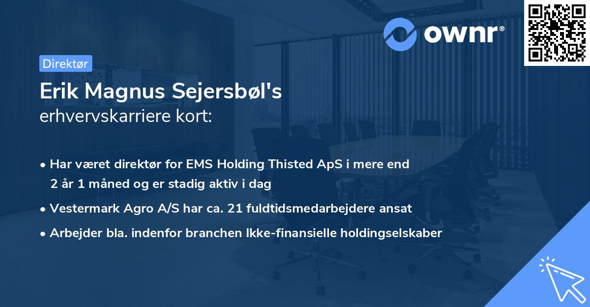 Erik Magnus Sejersbøl's erhvervskarriere kort