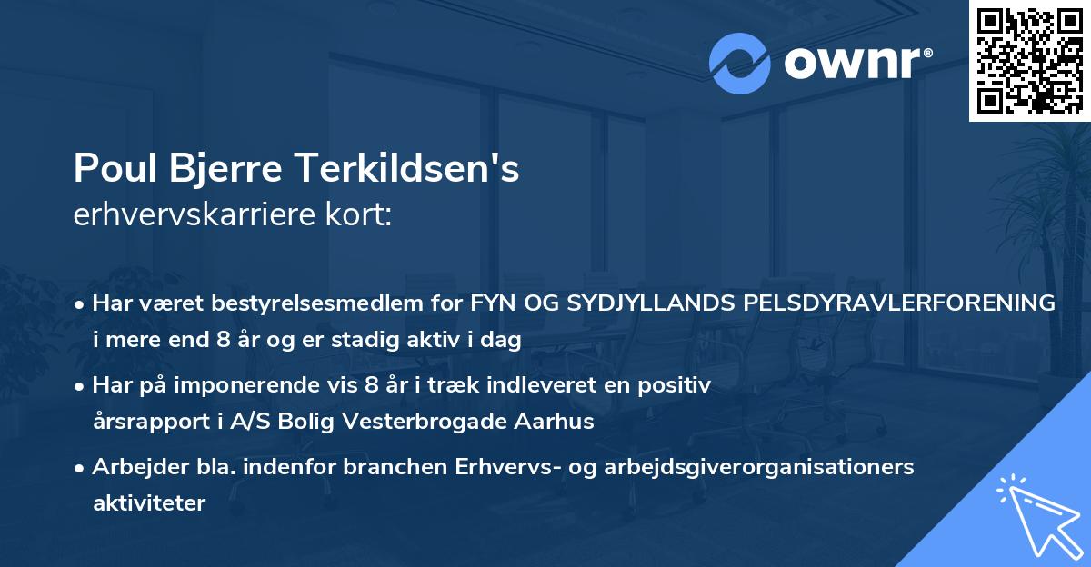 Poul Bjerre Terkildsen's erhvervskarriere kort