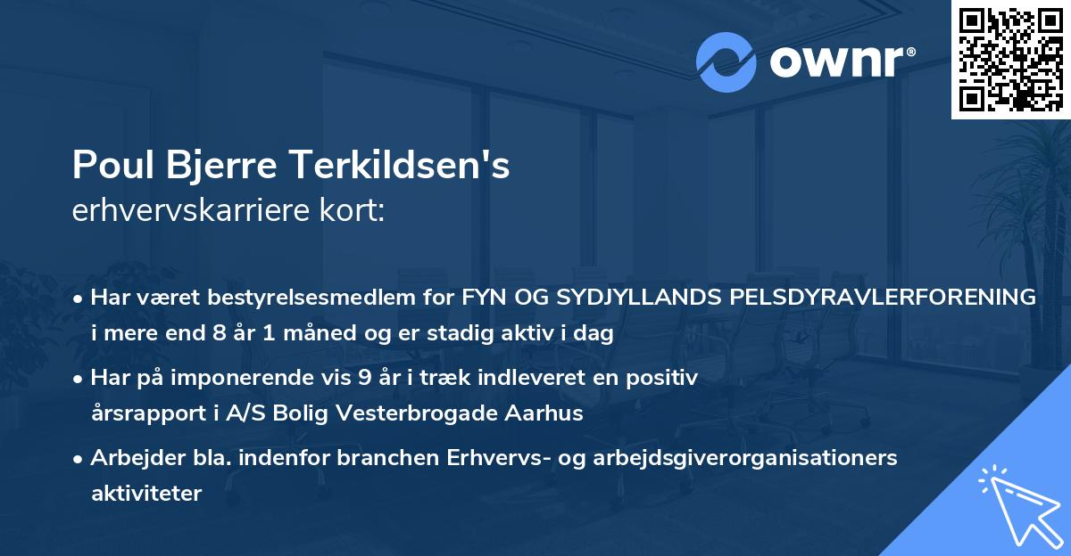 Poul Bjerre Terkildsen's erhvervskarriere kort