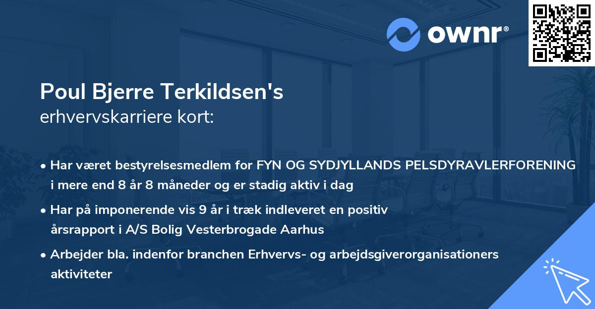 Poul Bjerre Terkildsen's erhvervskarriere kort