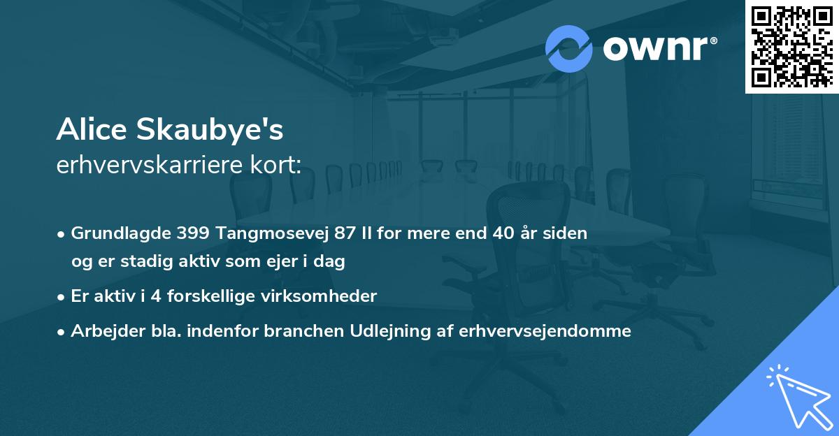 Alice Skaubye's erhvervskarriere kort