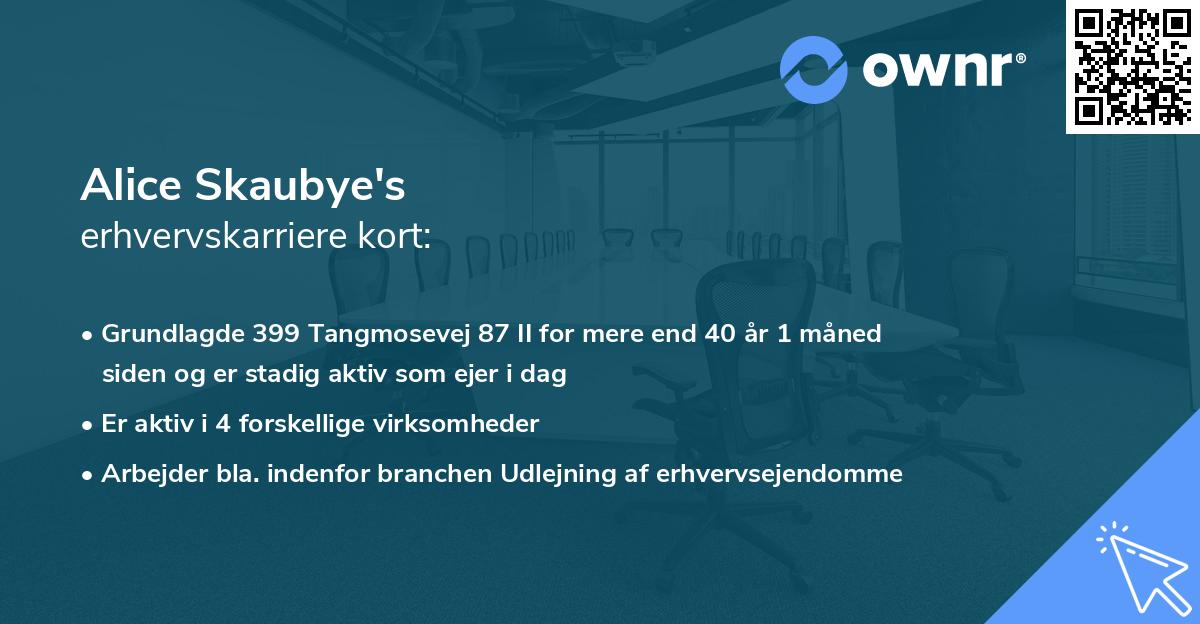 Alice Skaubye's erhvervskarriere kort