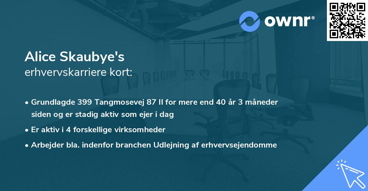 Alice Skaubye's erhvervskarriere kort