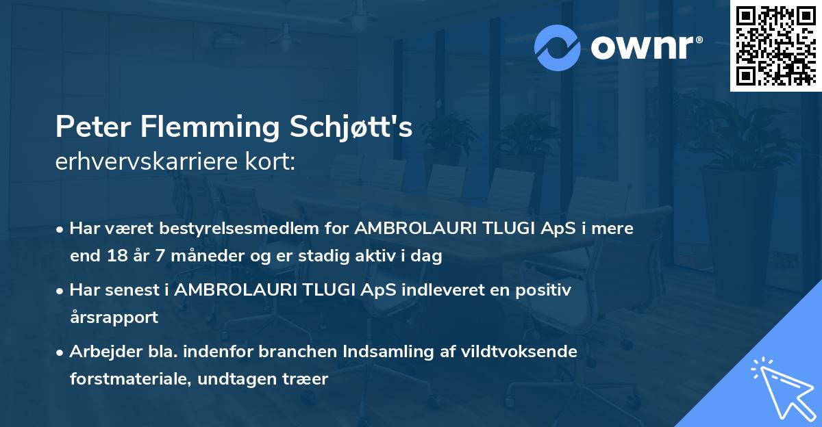 Peter Flemming Schjøtt's erhvervskarriere kort