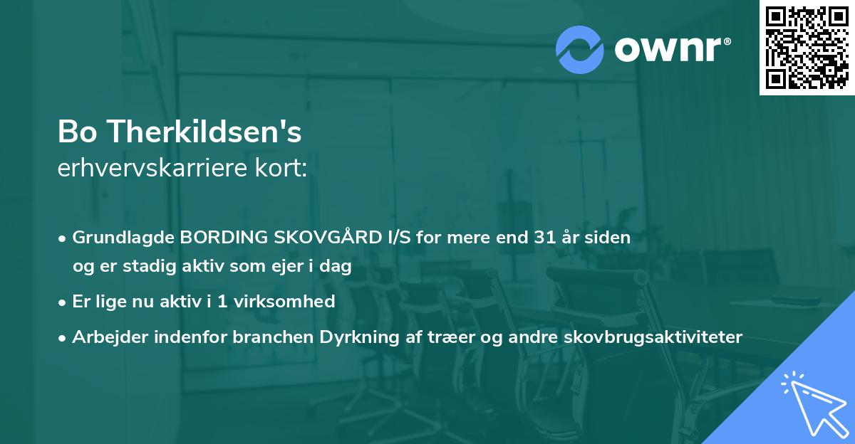 Bo Therkildsen's erhvervskarriere kort