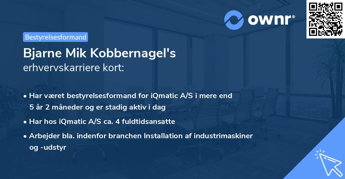 Bjarne Mik Kobbernagel's erhvervskarriere kort