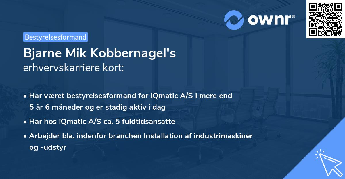 Bjarne Mik Kobbernagel's erhvervskarriere kort