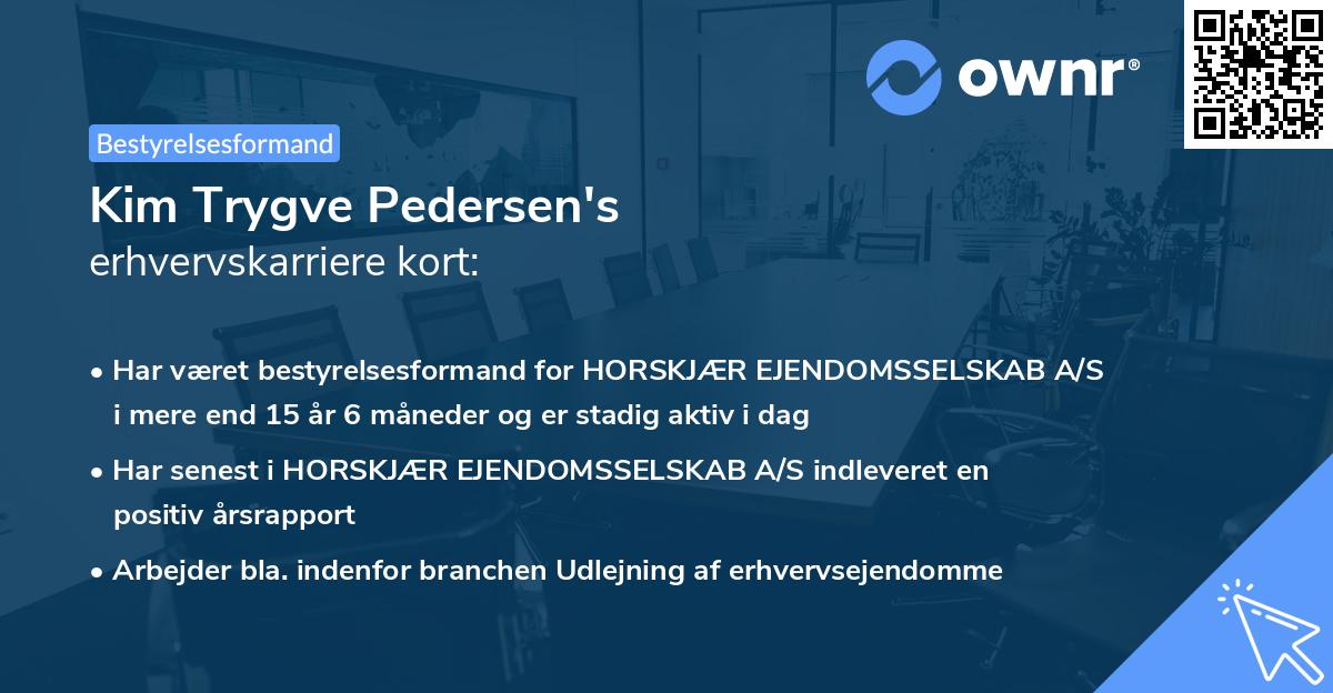Kim Trygve Pedersen's erhvervskarriere kort
