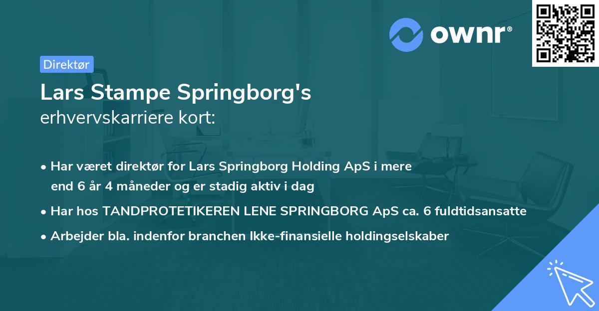 Lars Stampe Springborg's erhvervskarriere kort
