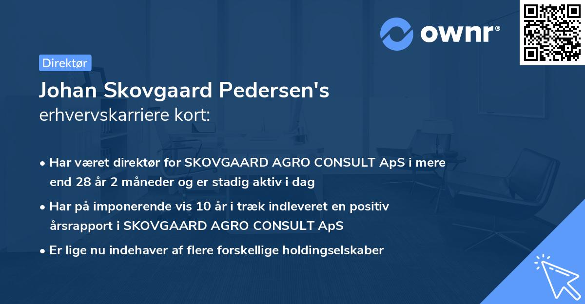 Johan Skovgaard Pedersen's erhvervskarriere kort