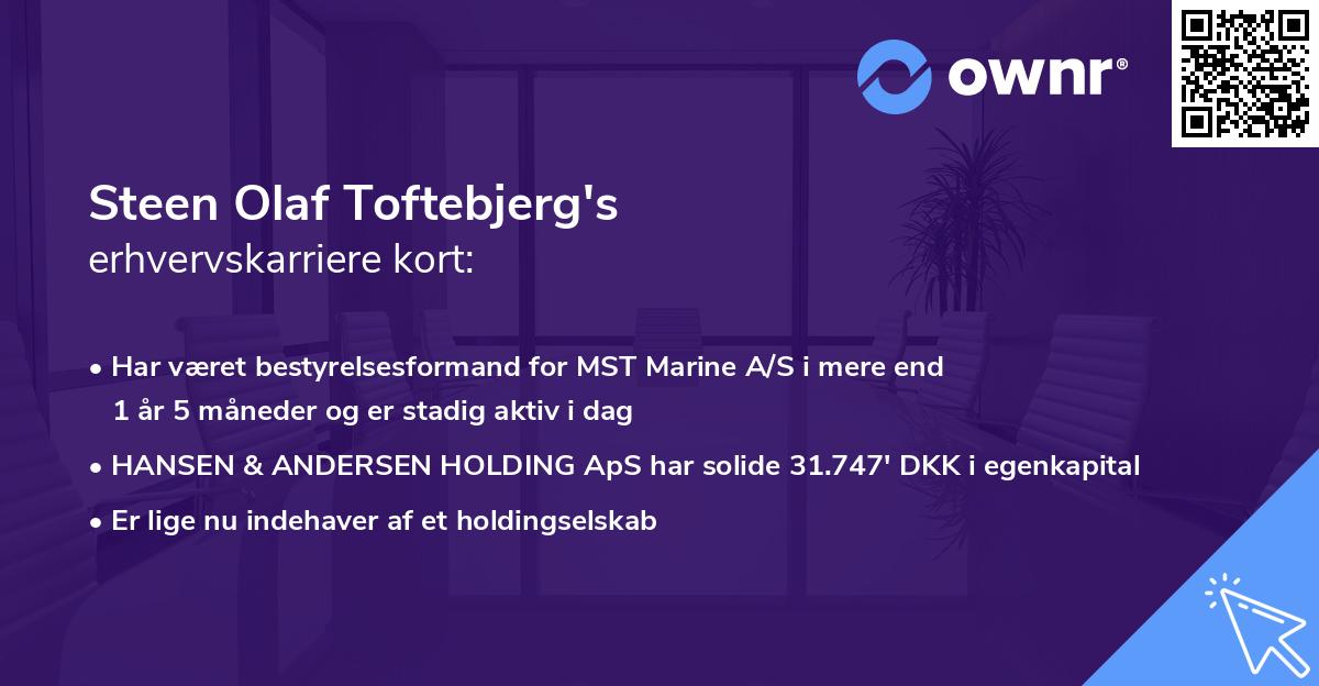 Steen Olaf Toftebjerg's erhvervskarriere kort