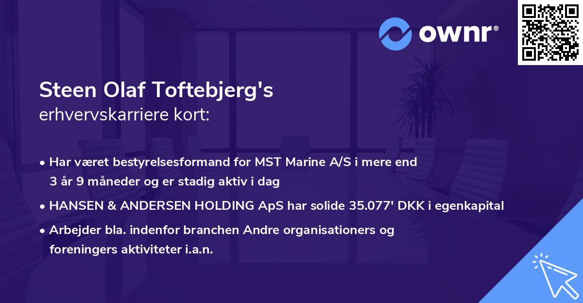 Steen Olaf Toftebjerg's erhvervskarriere kort