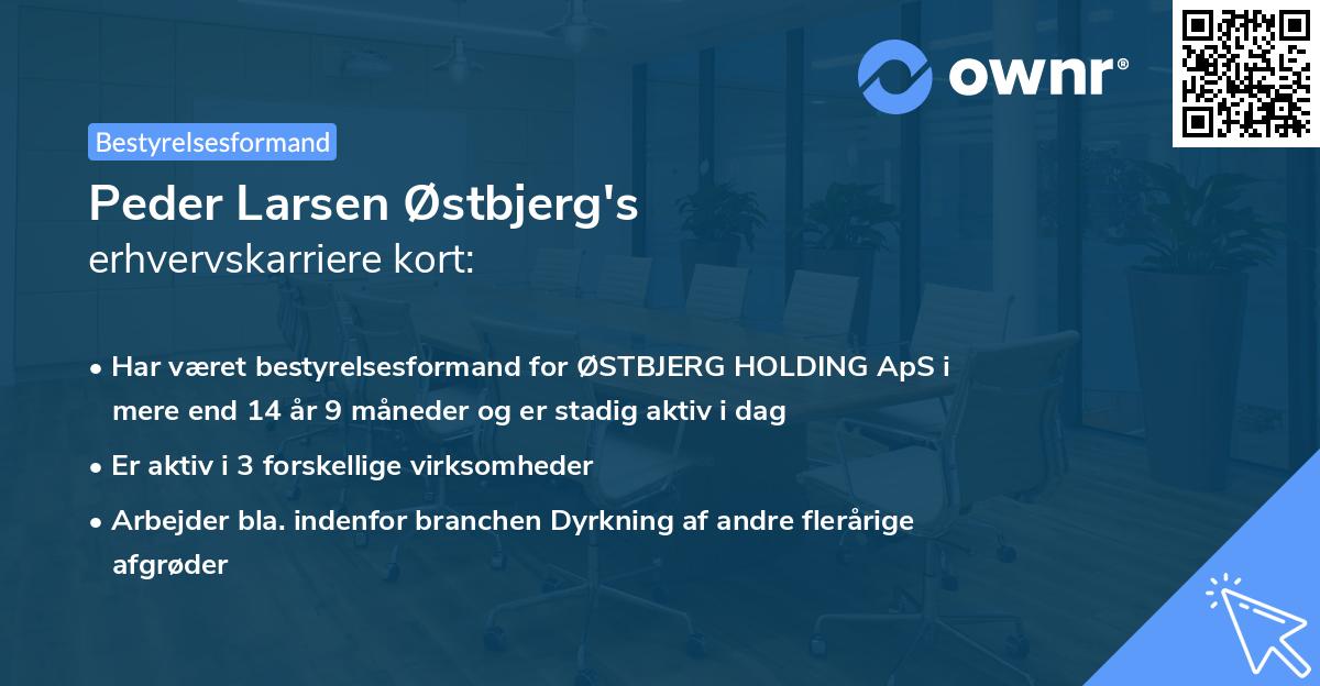 Peder Larsen Østbjerg's erhvervskarriere kort