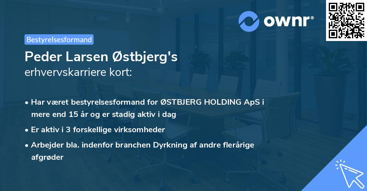Peder Larsen Østbjerg's erhvervskarriere kort