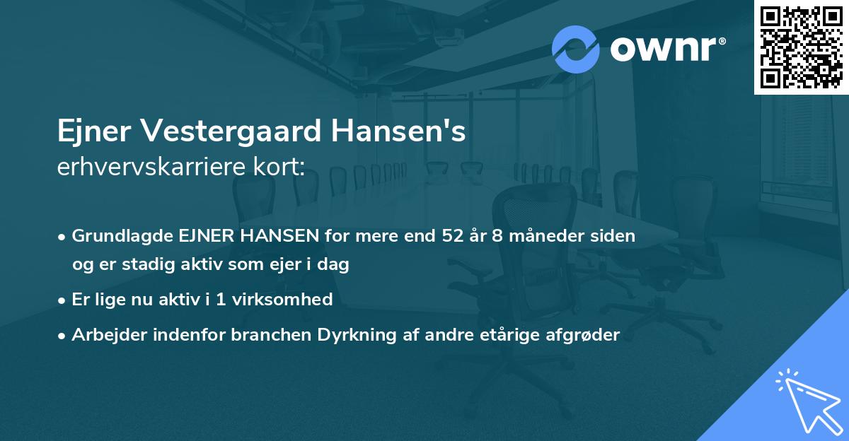 Ejner Vestergaard Hansen's erhvervskarriere kort