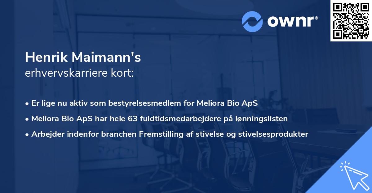 Henrik Maimann's erhvervskarriere kort