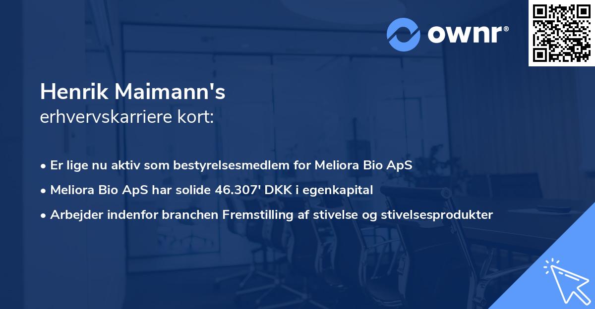 Henrik Maimann's erhvervskarriere kort
