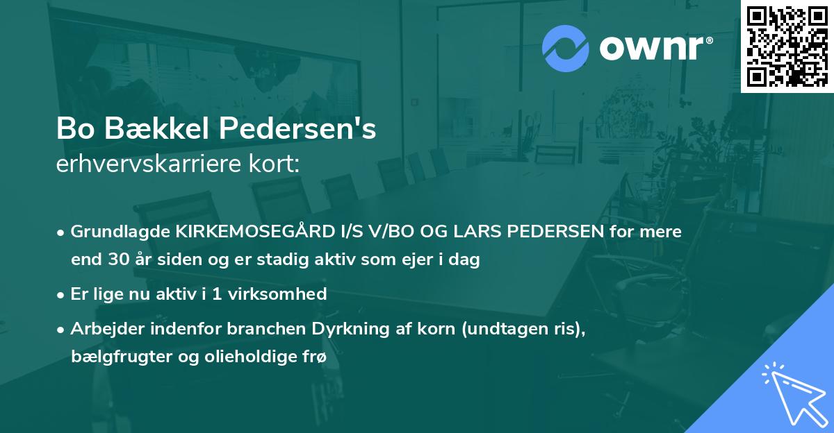 Bo Bækkel Pedersen's erhvervskarriere kort