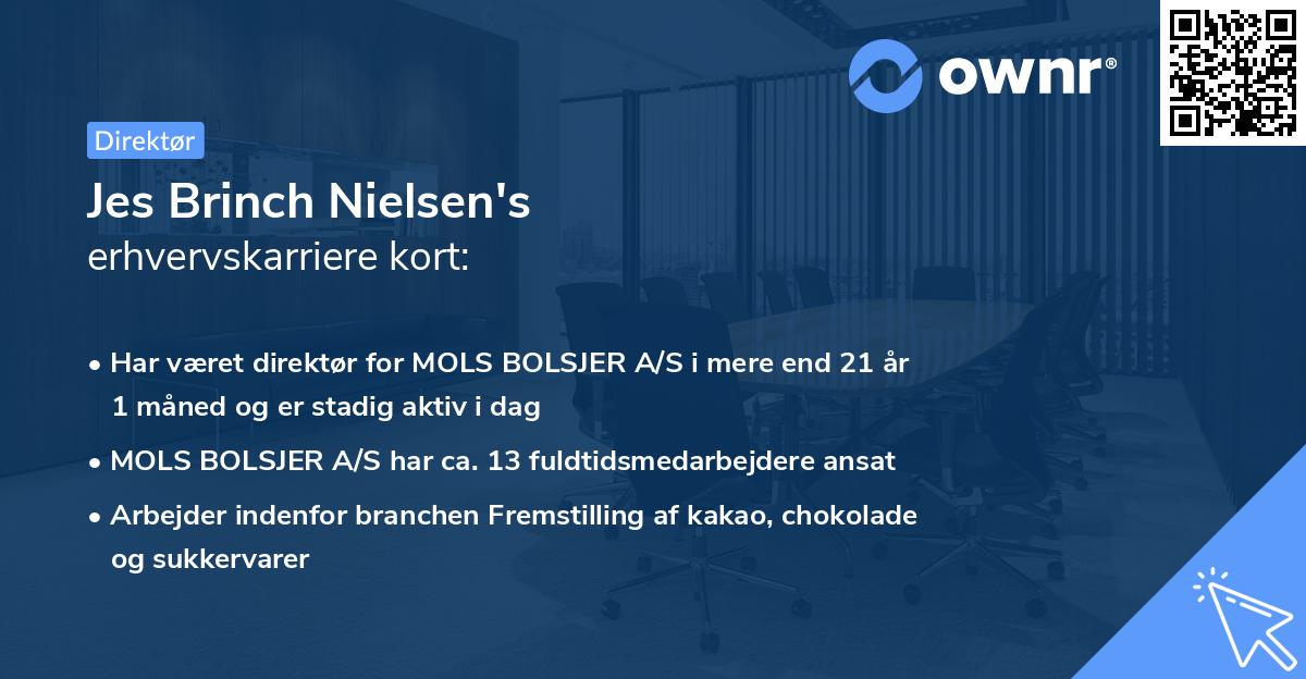 Jes Brinch Nielsen's erhvervskarriere kort